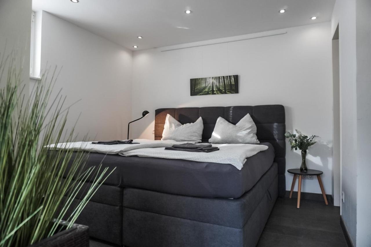 Neu Gebautes Apartment Mit Sonnenterasse In Der Naehe Vom Siebengebirge & Bonn Königswinter Exterior foto